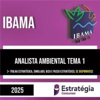 Rateio IBAMA 2025 - Analista Ambiental - Tema 1 - ESTRATÉGIA